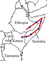 Cushitic Migrations