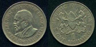 One Shilling Coin