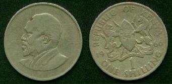 One Shilling Coin