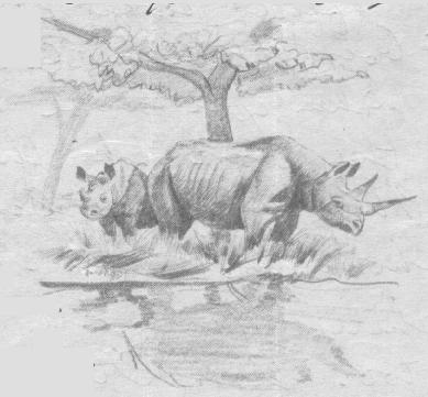 Elephant on stationery