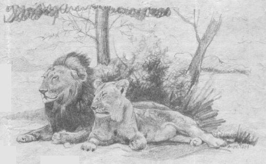 Lion on stationery